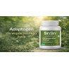 Ashwagandha (500 mg.) Sri Sri Tattva - Hilft bei der Stressbekämpfung, fördert den Schlaf