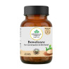 Bowelcare Organic India | Hilft bei der Heilung des Reizdarmsyndroms (IBS)