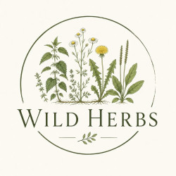 Wild Herbs - logo