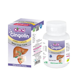 Gingolin KDN Ayurveda wspomaga wątrobę