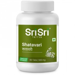 Shatavari Sri Sri (500 MG.) - Das beste Kraut für Frauen jeden Alters
