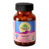 AMALAKI ORGANIC INDIA - POWERFUL ANTIOXIDANT AND RICH SOURCE OF NATURAL VIT. C