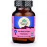 Ashwagandha Organic India - Biokräuter - Anti-Stress, reduziert chronische Überlastung