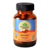 Immunity Organic India