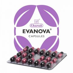 Evanova Charak - Hilft effektiv beim reibungslosen Übergang von der Perimenopause zur Menopause