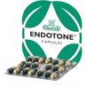 Endotone Charak - Die ayurvedische Behandlung der Endometriose