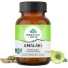 AMALAKI ORGANIC INDIA | POWERFUL ANTIOXIDANT AND RICH SOURCE OF NATURAL VIT. C