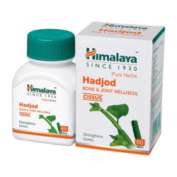 Hadjod Himalaya | effectively accelerates fracture healing, strengthens bones, joints