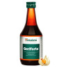 Geriforte Himalaya | strengthens both mind and body especially in old age