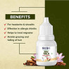 Anu Tail Sri Sri Ayurveda - Ayurvedisches Nasya Öl