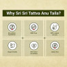 Anu Tail Sri Sri Tattva - Naturalny olejek do nosa na zatoki | Organiclab