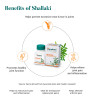 Shallaki Himalaya | Supports Bone and Joints Wellness