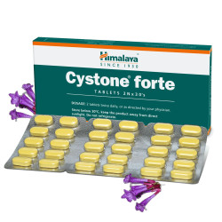 Cystone Forte Himalaya – Effektive Unterstützung für Nieren und Harnwege