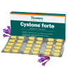 Cystone Forte Himalaya – Effektive Unterstützung für Nieren und Harnwege