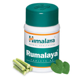 Rumalaya Himalaya – pflanzliche Unterstützung für Gelenke und Muskeln